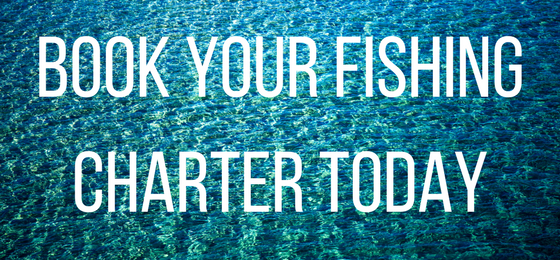 Book Your Fishing Charter Today